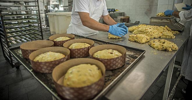 panettone laboratorio