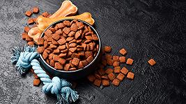 Visto che non facciamo più figli, Tetra Pak punta a cani e gatti