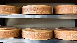 Quali sono i formaggi del Friuli Venezia Giulia, oltre al Montasio