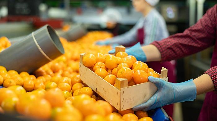 L’export agricolo di Israele è al collasso