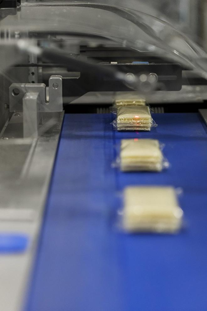 FiorentiniStabilimento_286