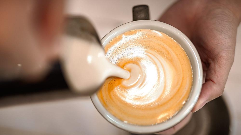 Non tutte le alternative vegetali al latte sono così ecologiche come pensiamo