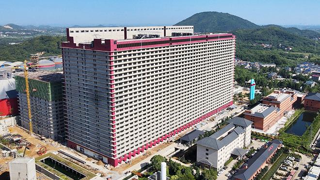 cina allevamento maiali cover