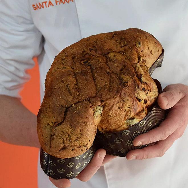 colomba alchimia santa fara