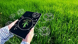 L’intelligenza artificiale sta decidendo cosa dobbiamo mangiare?