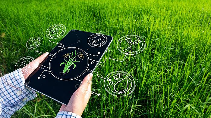 L’intelligenza artificiale sta decidendo cosa dobbiamo mangiare?