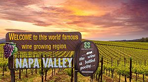 Il vino della Napa valley sta fallendo perché è gestito da boomer?