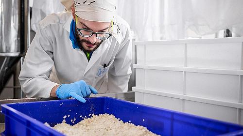 A Feltre c’è la prima sagakura italiana: come si fa il sakè con il Carnaroli