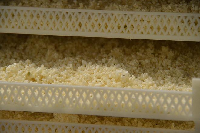 Sakagura Riso sake (8)