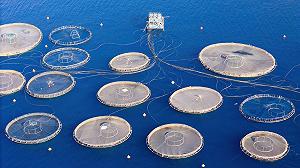 In Italia abbiamo troppo pochi allevamenti di pesce?