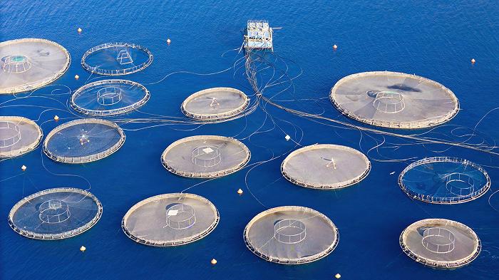 In Italia abbiamo troppo pochi allevamenti di pesce?