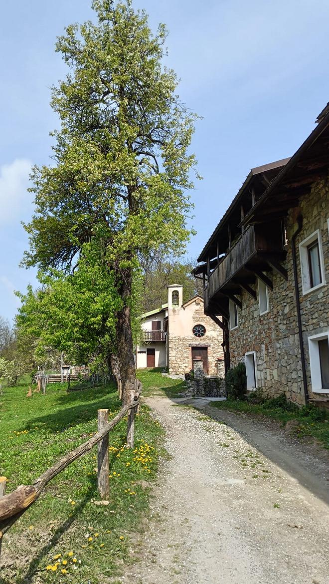 maddalena ai vernagli