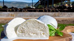 La mozzarella di bufala sta diventando troppo cara?