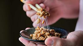 Ora c’è la prova scientifica che i fermentati favoriscono la longevità