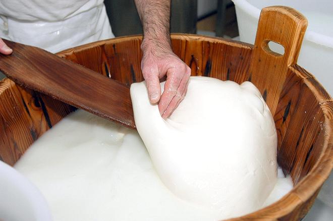 produzione mozzarella di bufala