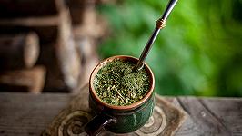 Adesso il figlio minore di Trump fa i soldi anche con lo yerba mate