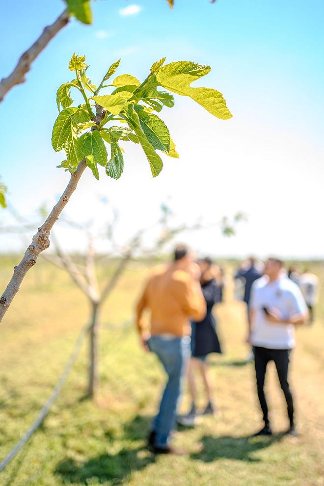 ego festival tour