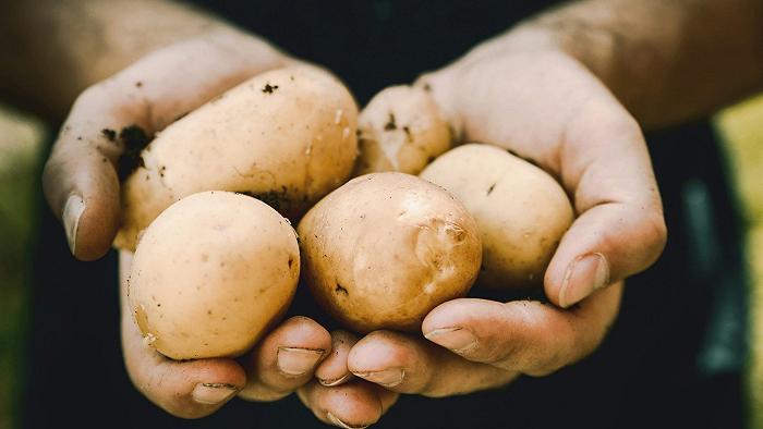 In Belgio hanno troppe patate