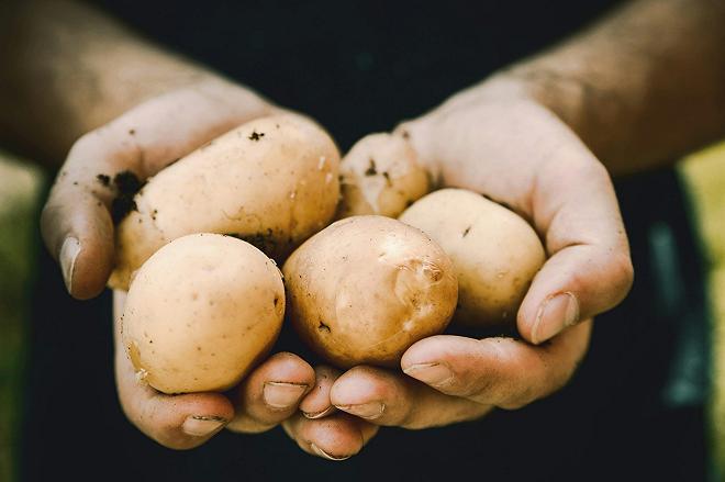patate