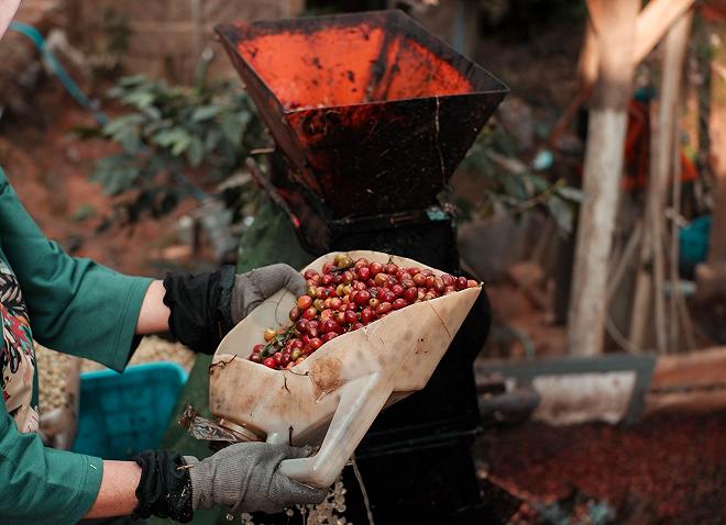 caffè produttori