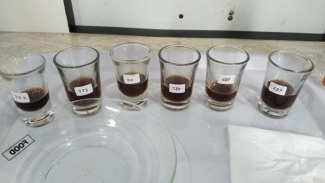 degustazione caffè