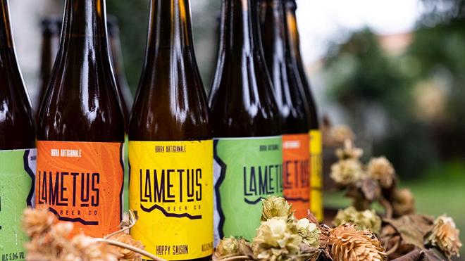 lametus