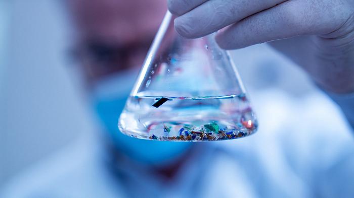 Un’alga geneticamente modificata depura l’acqua dalle microplastiche