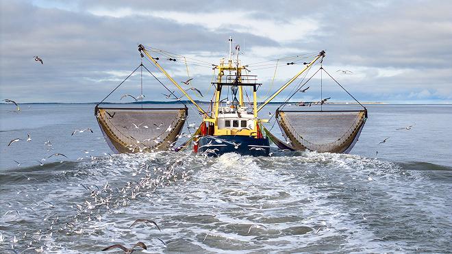pesca in mare