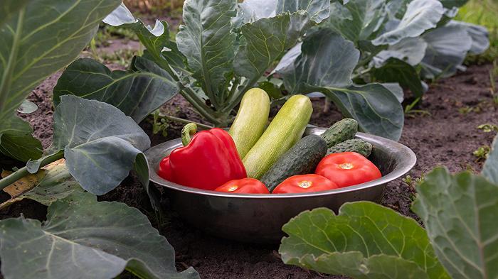 Com’è che il caldo sta facendo abbassare i prezzi di frutta e verdura
