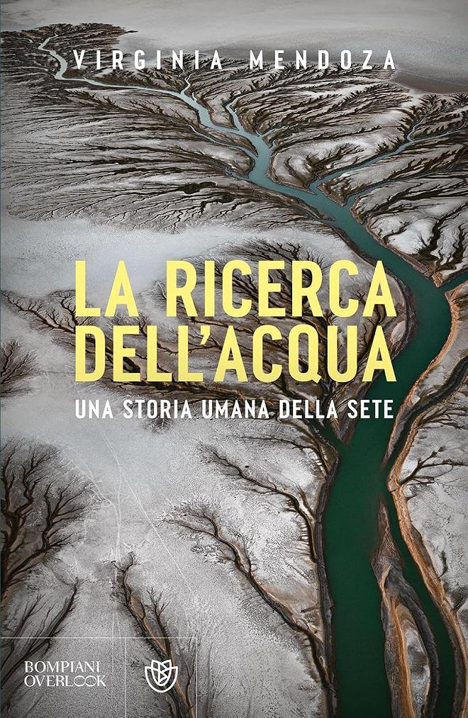 ricerca dell'acqua libro