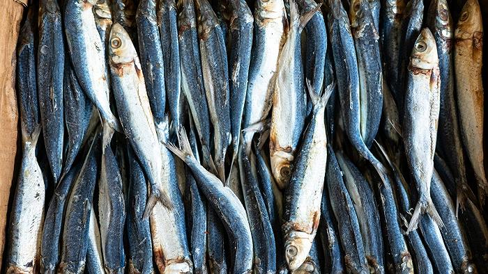 Come capire quanto è sostenibile il pesce che mangiamo
