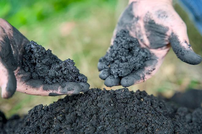 biochar