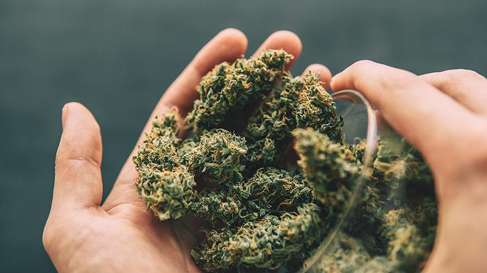 Un nuovo studio segnala che la cannabis potrebbe migliorarci la salute del fegato