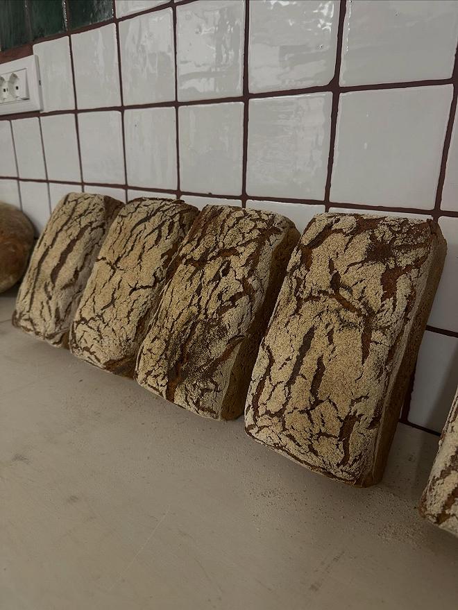 il pane di foresta forno