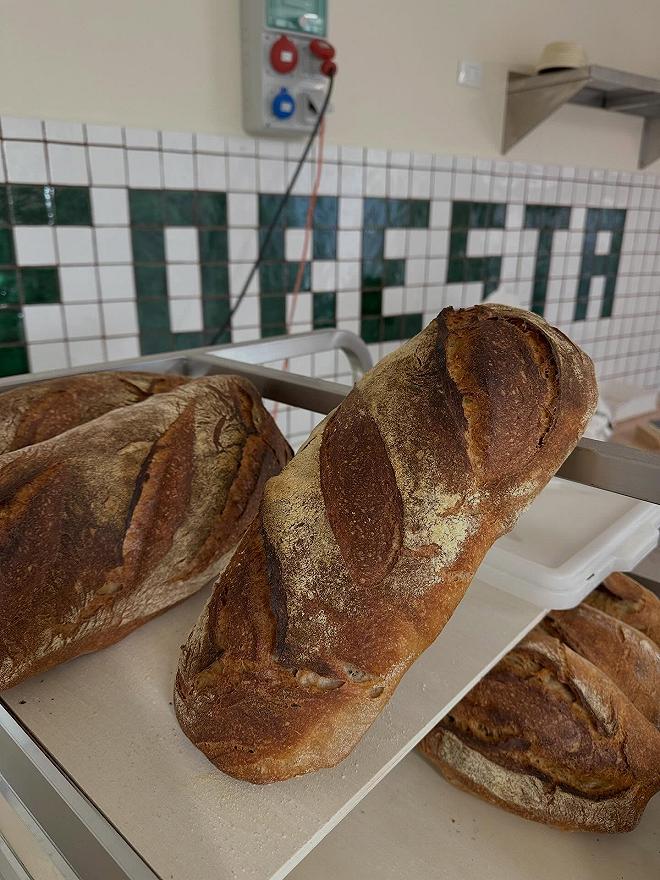 il pane di foresta forno