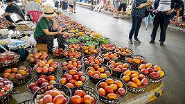 In Europa arriveranno per la prima volta i mango speciali di Taiwan