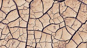 L’inflazione climatica sul cibo pronta a colpire: colpa del “super El Niño”