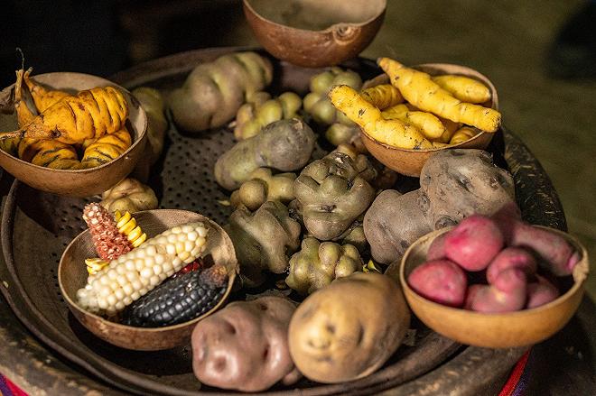 patate andine