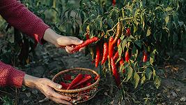 Prepariamoci a un’invasione di prodotti a base di peperoncino