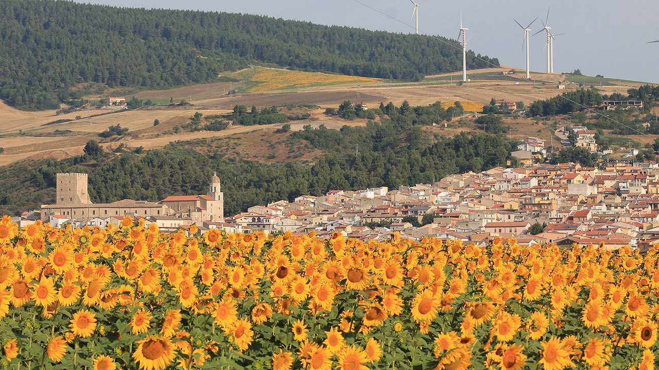 In un paesino di Puglia (quasi) come in Francia, il comune riapre un caffè chiuso dopo 138 anni