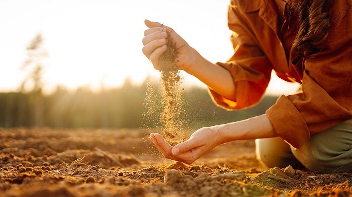 C’è una speculazione sui raccolti devastati dal caldo?