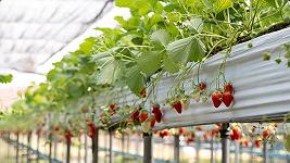 I bacini d’acqua piovana saranno il futuro dell’agricoltura?