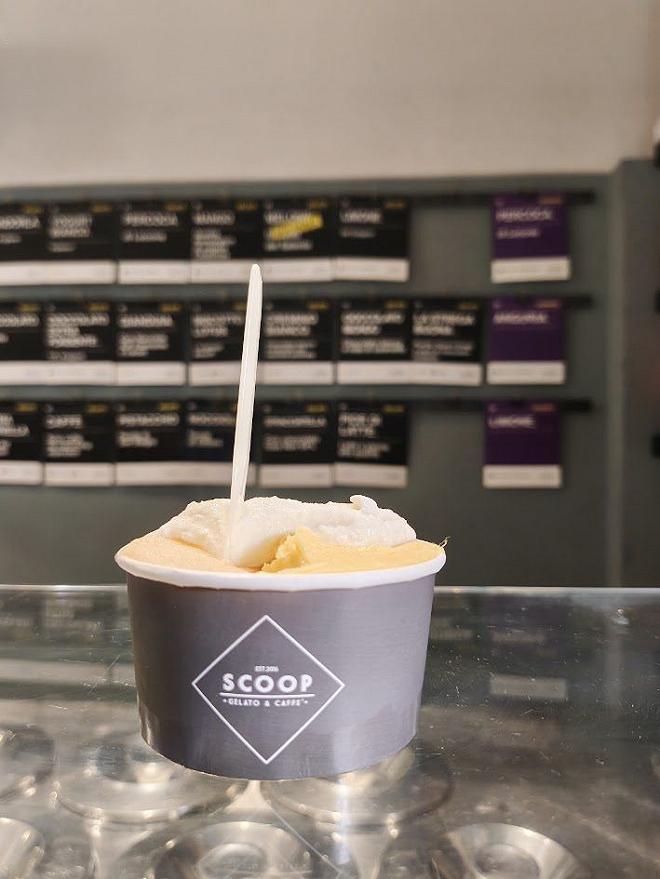 scoop canosa