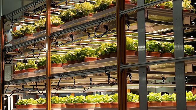 vertical farm