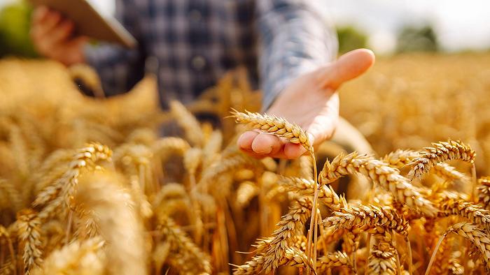 Come l’Unione Europea vuole rivoluzionare l’agricoltura