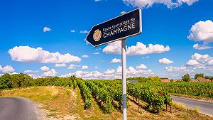 Il caldo cambia le regole della Champagne