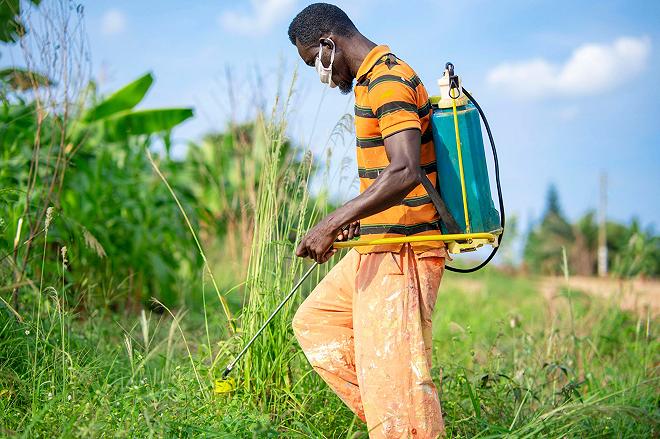 contadino africano pesticidi