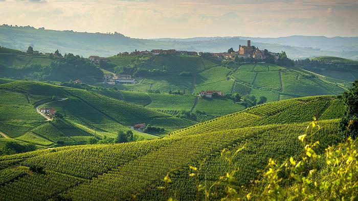 Colpo gobbo nelle Langhe: furto da centinaia di migliaia di euro alla cantina Conterno Fantino