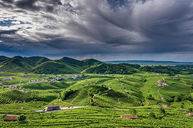 Valdobbiadene, i vigneti del Cartizze. 