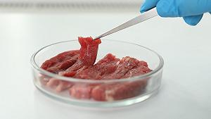 Dalle salsicce al pet food, la carne coltivata cambia strategia